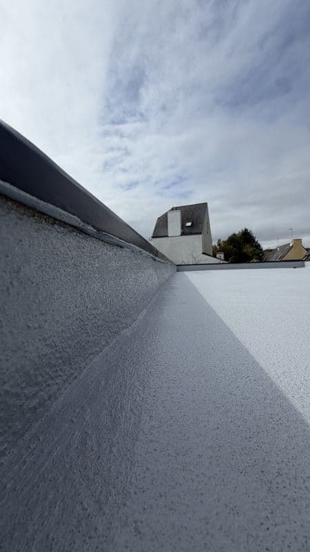 Relevé d’étanchéité liquide remontant sur l’acrotère du toit-terrasse