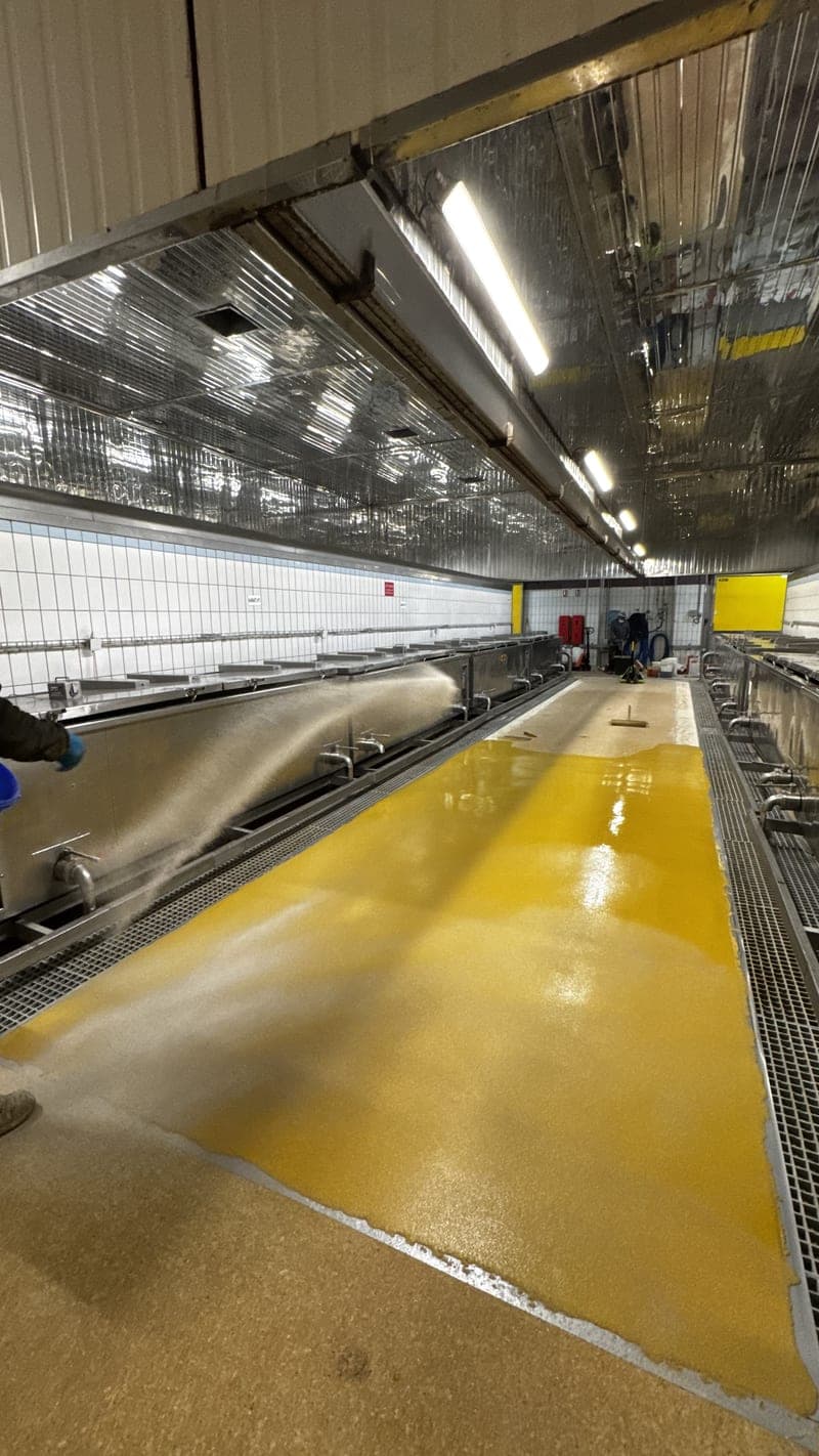 Sol en résine polyuréthane jaune avec saupoudrage de quartz coloré antidérapant, posé après sablage du support, conforme HACCP pour l'industrie agroalimentaire